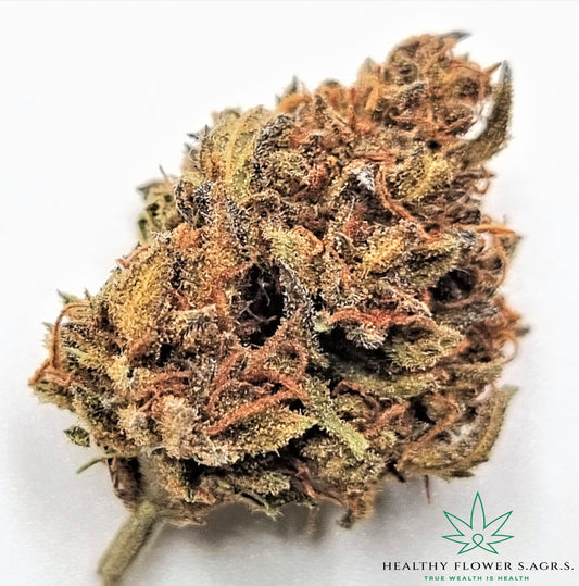 Wild Strawberry - Cannabis Light